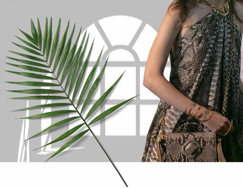 女星同款竟显胖，胖太太服饰为何持续走红？